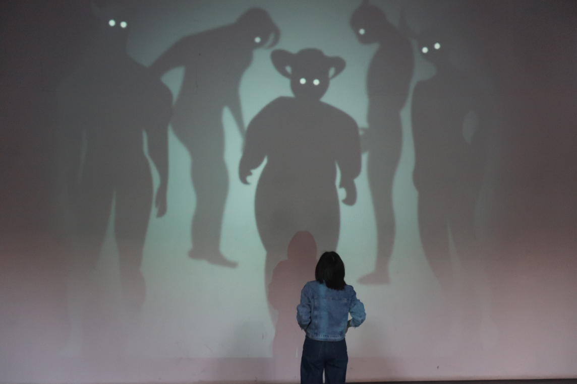 SHADOW interactive installation
